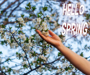 A Clinical Guide to Spring Renewal